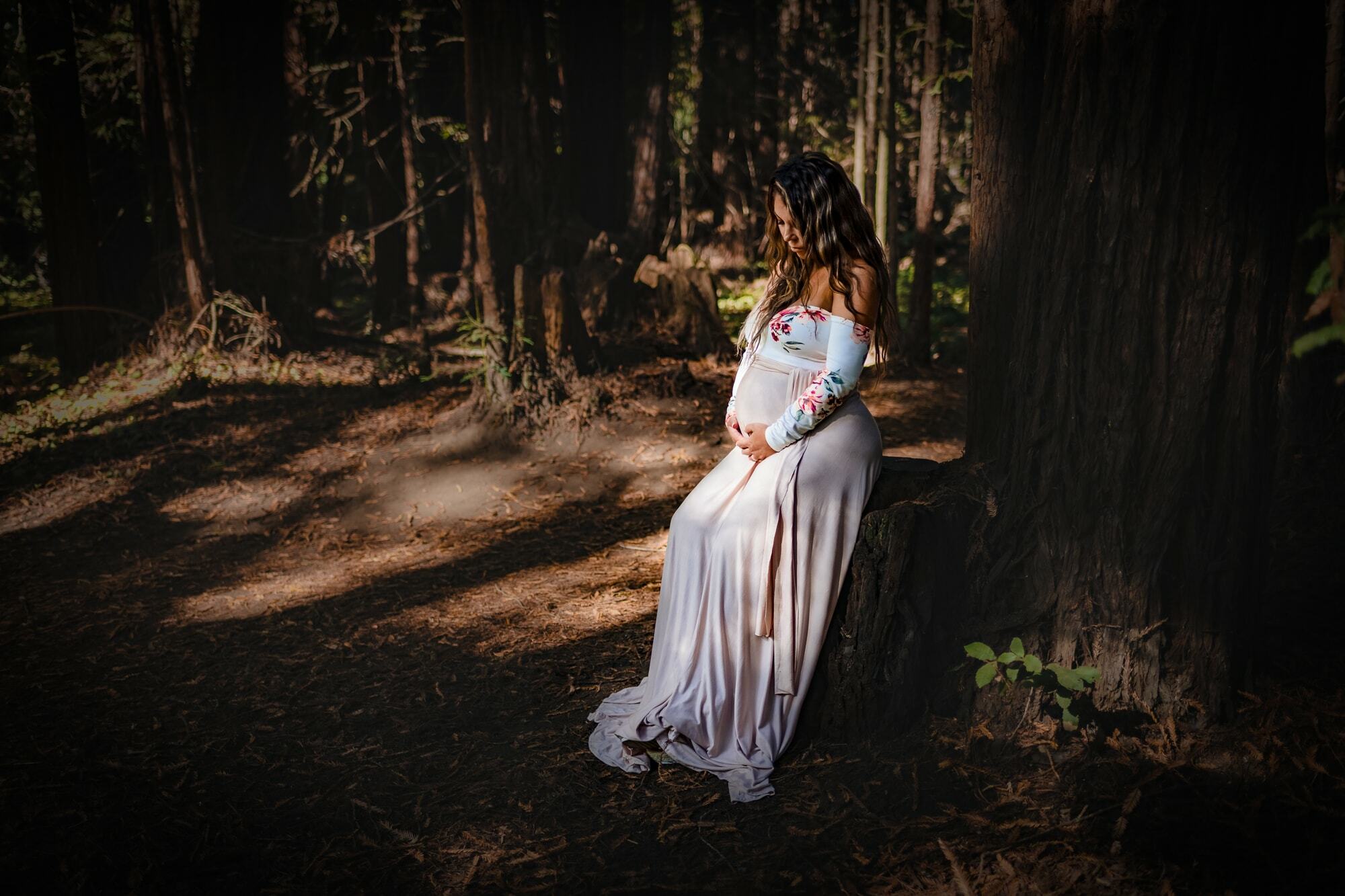 Maternity redwoods photoshoot