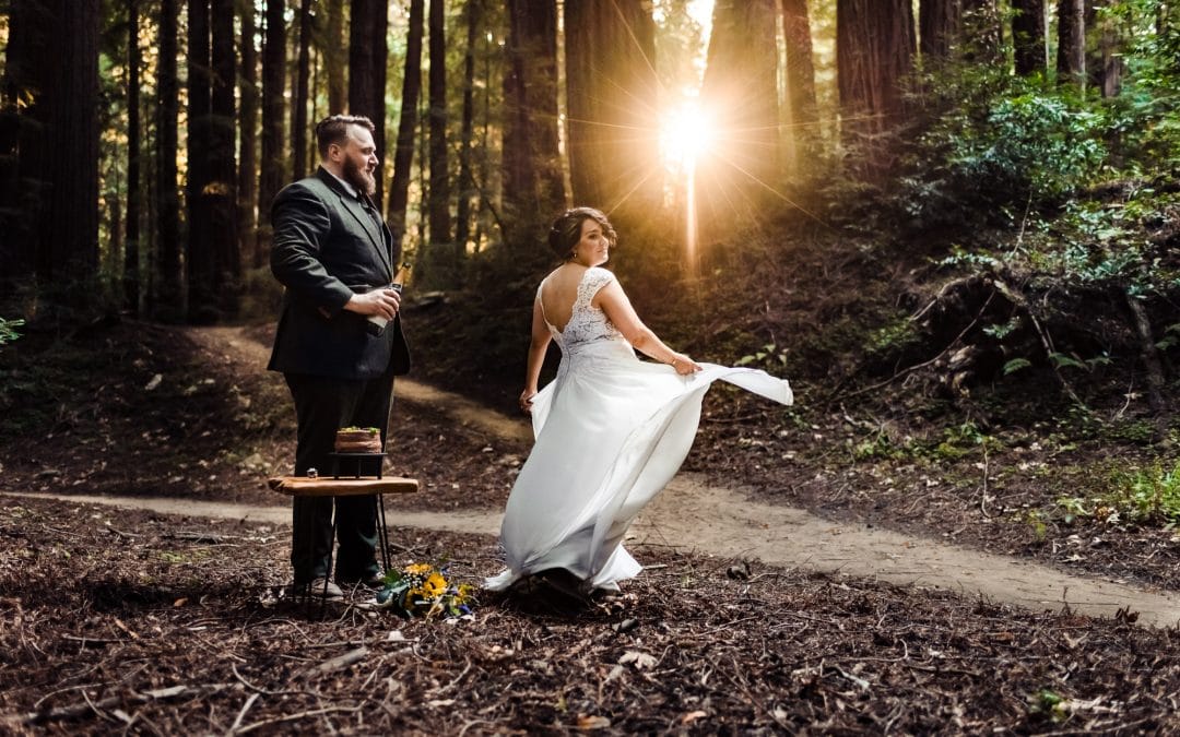 Redwoods elopement photographer