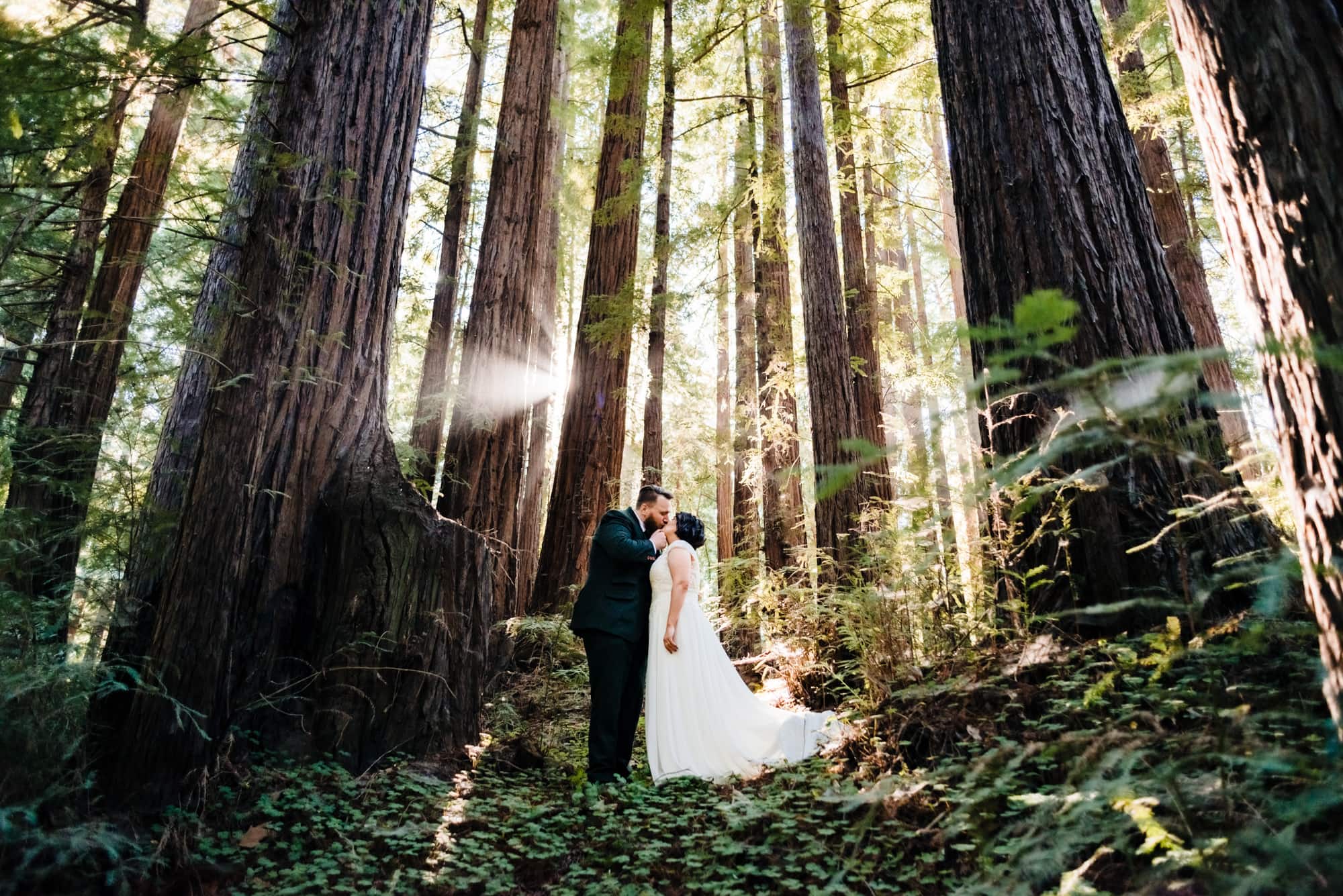 Big Sur elopement in the Redwoods