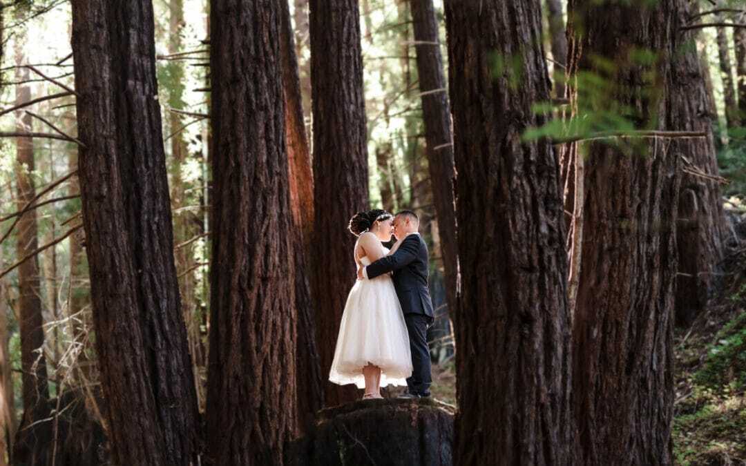 Big Sur Redwoods wedding