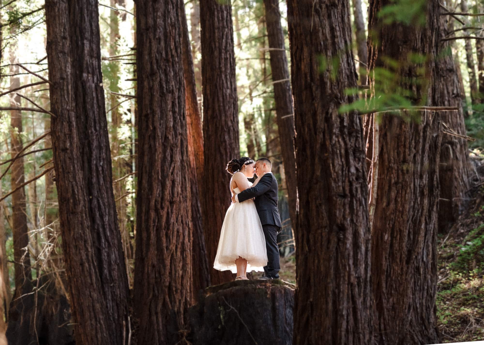 Big Sur redwoods wedding photograph